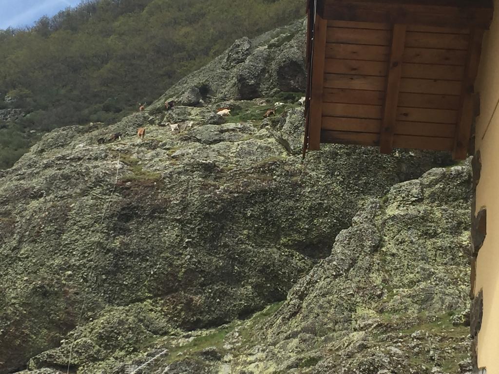 El Invernal De Picos Portilla de la Reina Exterior foto