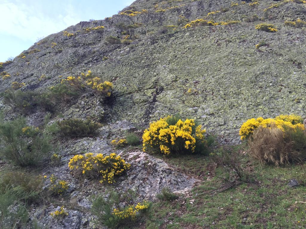 El Invernal De Picos Portilla de la Reina Exterior foto