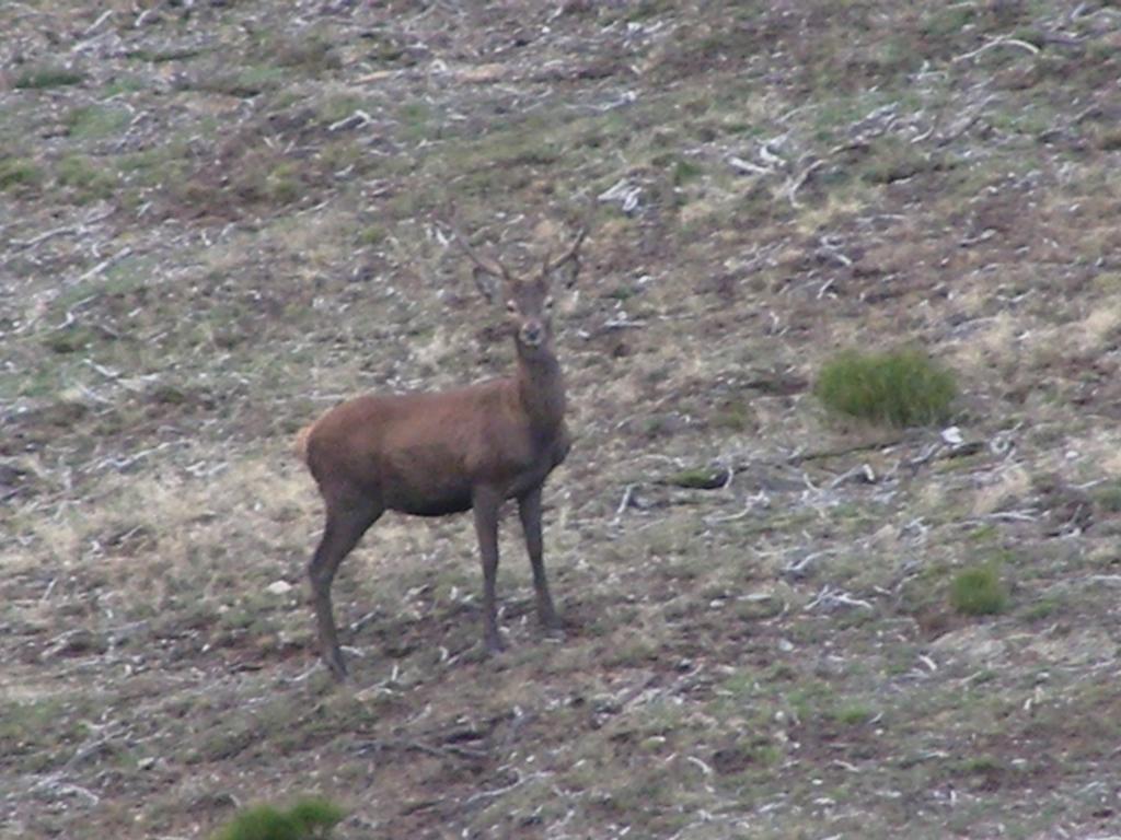 El Invernal De Picos Portilla de la Reina Exterior foto