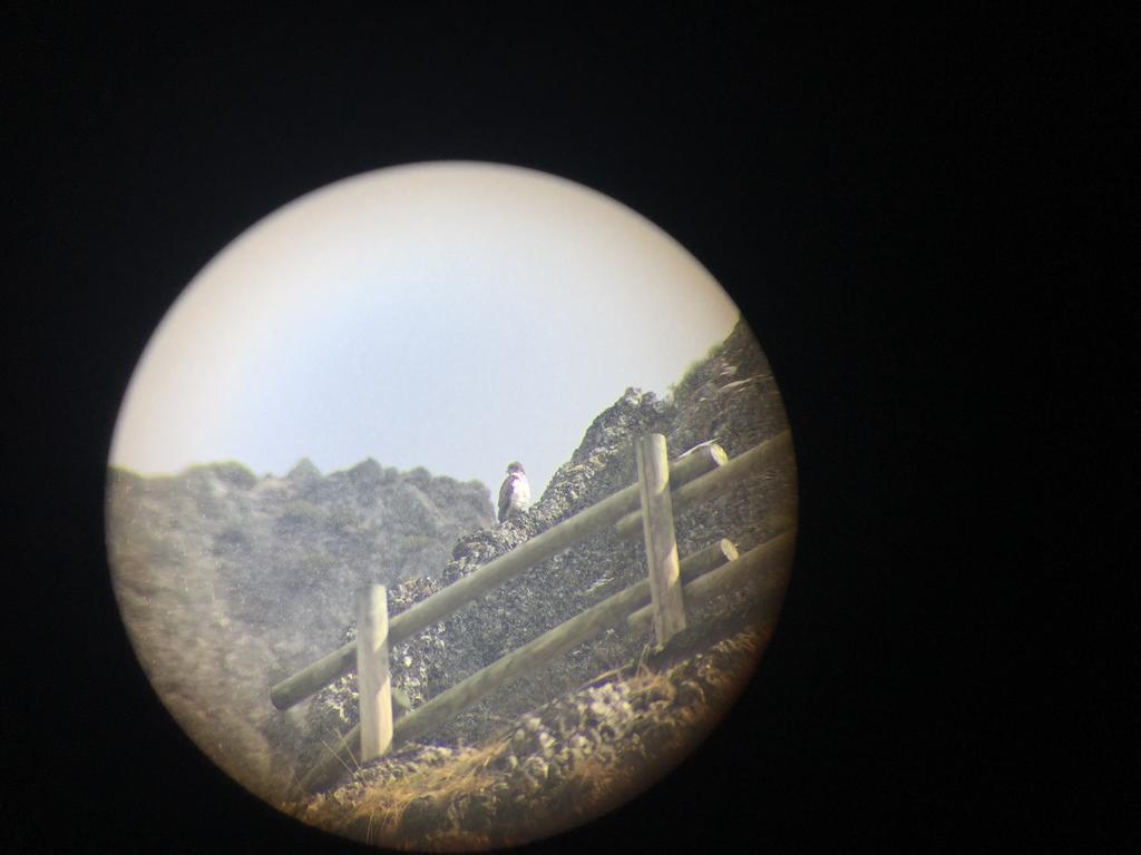 El Invernal De Picos Portilla de la Reina Exterior foto